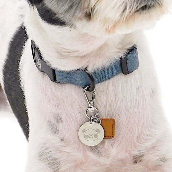 뽀시래기 강아지 인식표 RFID 외장인식칩 금속 후크형 (반려동물 등록 무료)