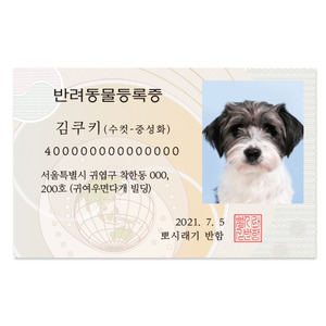 뽀시래기 강아지 신분증 개민증 (반려동물등록증)